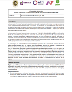 Lee más sobre el artículo Servicios profesionales para diagramación y diseño de la plataforma feminista 2024-2029