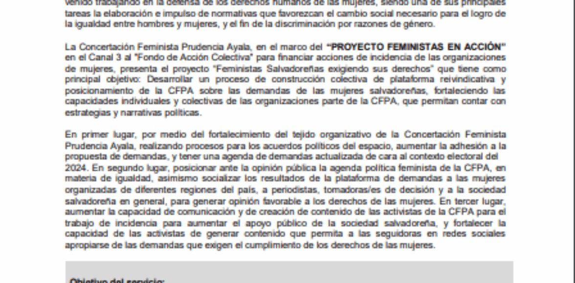 Servicios profesionales para la facilitación de 4 talleres de socialización de la plataformafeminista.2da. Convocatoria
