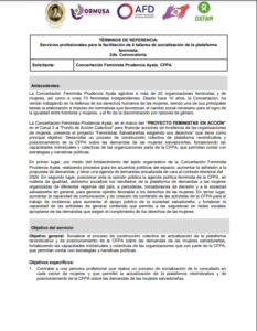 Lee más sobre el artículo Servicios profesionales para la facilitación de 4 talleres de socialización de la plataformafeminista.2da. Convocatoria