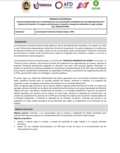 Lee más sobre el artículo Servicios profesionales para la contratación de una comunicadora-facilitadora para la implementación de 4 talleres de formación a 15 mujeres activistas para la creación y manejo de contenidos en redes sociales.2da. CONVOCATORIA
