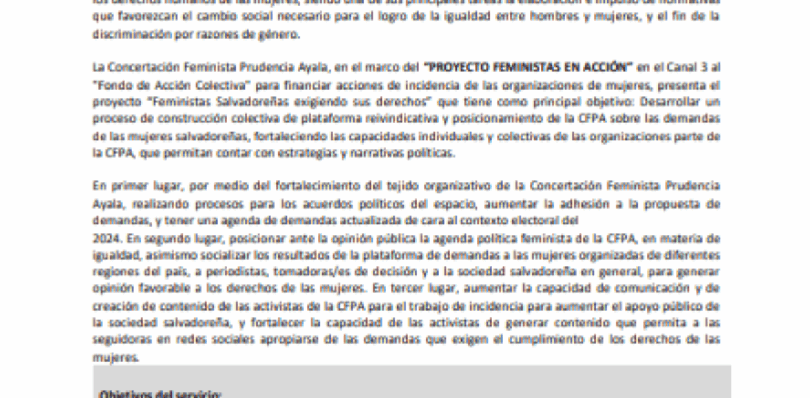Servicios profesionales para diagramación y diseño de la plataforma feminista 2024-2029 – 3da. Convocatoria
