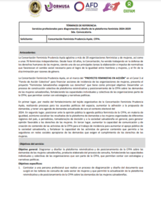 Lee más sobre el artículo Servicios profesionales para diagramación y diseño de la plataforma feminista 2024-2029 – 3da. Convocatoria