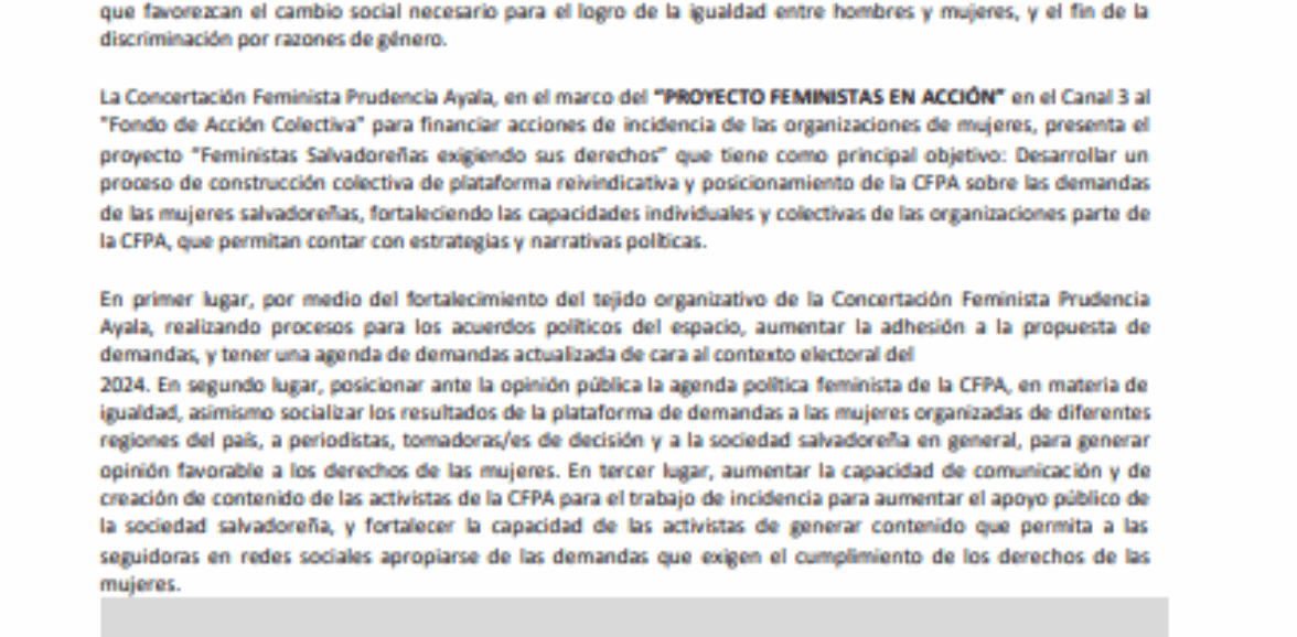 Servicios profesionales para diagramación y diseño de la plataforma feminista 2024-2029  2da. Convocatoria