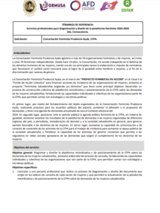 Lee más sobre el artículo Servicios profesionales para diagramación y diseño de la plataforma feminista 2024-2029  2da. Convocatoria