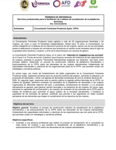 Lee más sobre el artículo Servicios profesionales para la facilitación de 4 talleres de socialización de la plataforma feminista.3ra. Convocatoria