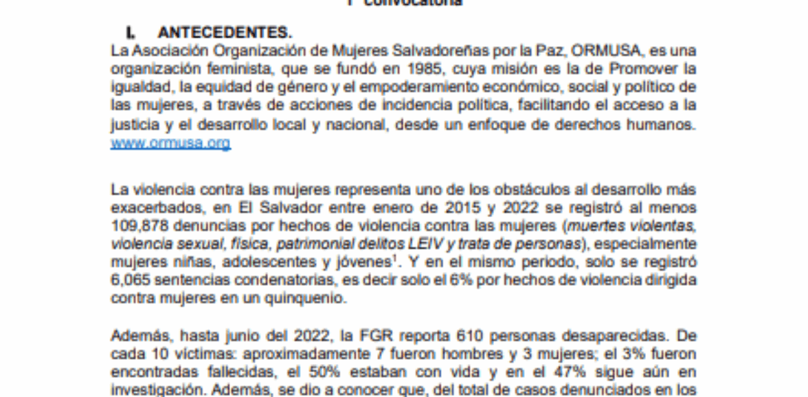 Asistencia técnica para facilitación sobre mecanismos de incidencia y participación alternativa y elaboración o actualización de protocolos de seguridad y protección organizaciones de defensa de derechos humanos. 1ª convocatoria
