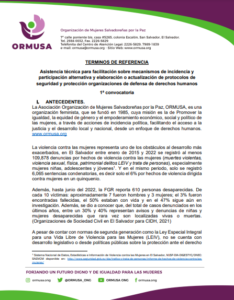 Lee más sobre el artículo Asistencia técnica para facilitación sobre mecanismos de incidencia y participación alternativa y elaboración o actualización de protocolos de seguridad y protección organizaciones de defensa de derechos humanos. 1ª convocatoria