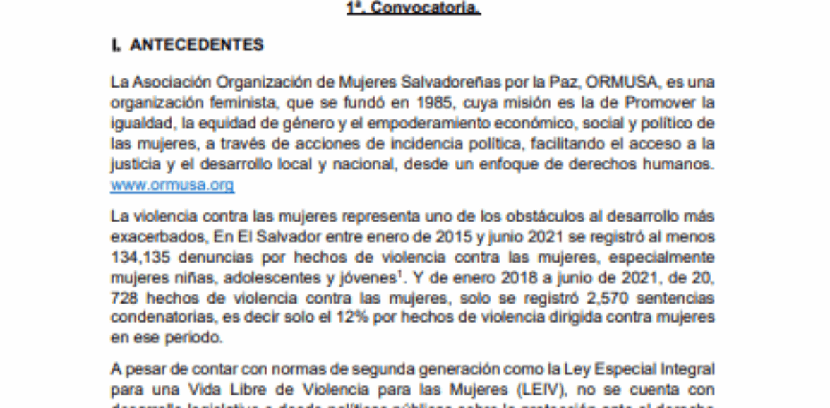 Asistencia técnica para realización de una galería o exposición de relatos de vida de diversas luchas y causas de mujeres defensoras de derechos en El Salvador – 1 Convocatoria