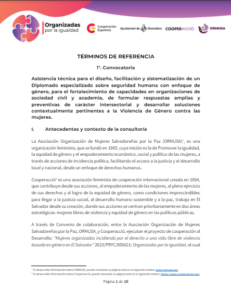 Lee más sobre el artículo TDR – Diseño y facilitación y sistematización de un diplomado especializado sobre seguridad humana