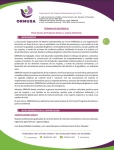 Lee más sobre el artículo Plaza técnica de Programa Género y Justicia Ambiental