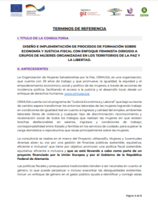 Lee más sobre el artÃculo Diseño e implementación de procesos de formación y economÃa y justicia fiscal con enfoque feminista dirigido a grupos de mujeres organizadas en los territorios de La Paz y La Libertad