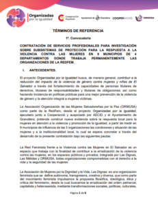 Lee más sobre el artículo Servicios profesionales para investigación sobre subsistemas de protección para la propuesta a la violencia contra las mujeres en 9 distritos de 4 departamentos donde trabaja permanentemente las organizaciones de la REDFEM
