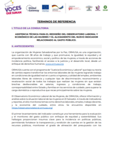 Lee más sobre el artículo Asistencia técnica para rediseño del observatorio laboral y económico, de las mujeres y el alojamiento del nuevo indicador relacionado al gasto publico