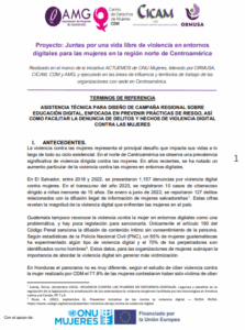 Lee más sobre el artÃculo Asistencia técnica para diseño de campaña regional sobre educación digital, enfocada en prevenir prácticas de riesgo, asà como facilitar la denuncia de delitos y hechos de violencia digital contra las mujeres